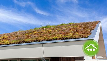 02-09-Dachbegruennung-Klima-Photovoltaik